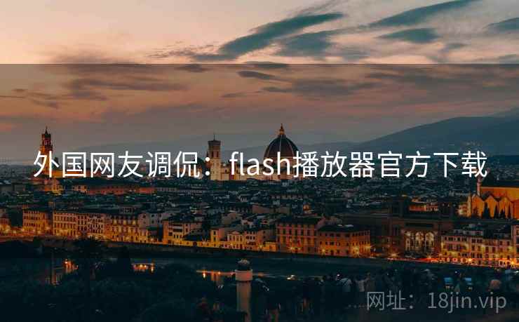 外国网友调侃：flash播放器官方下载