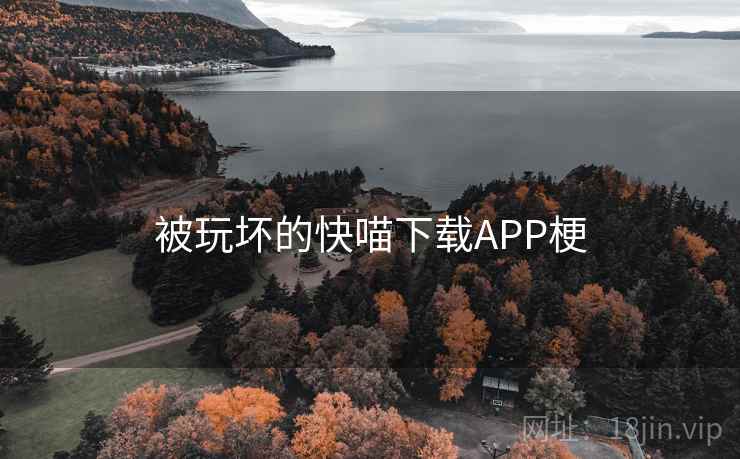 被玩坏的快喵下载APP梗